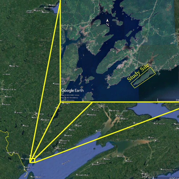 Map with inset showing the location of the study site.
